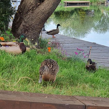 River Cottage Stoke Ferry エクステリア 写真